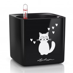 Lechuza Cube Glossy Cat 14 schwarz highgloss 13508 