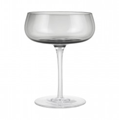 Blomus Sektschale BELO im 2er Set Smoke 64278 