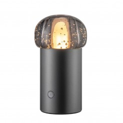 Blomus IRIS Mobile Leuchte Gun Metal 67043 