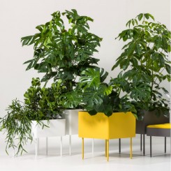 Cascando Rombo Planter. konfigurierbar 