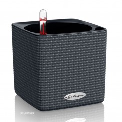 Lechuza  Cube Color 14 mit Stick-System schiefergrau 13384 