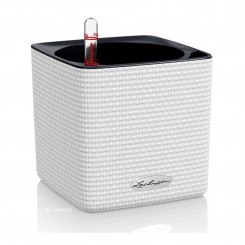 Lechuza  Cube Color 16 mit Stick-System weiß 13580 