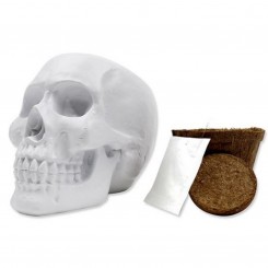 Gift Republic Totenkopf / Pflanzset 17089 