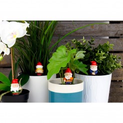 Gift Republic Freche Mini Gartenzwerge 16366 