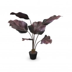 Götessons Calathea Burgundy 550, künstliche Pflanze, 160144 