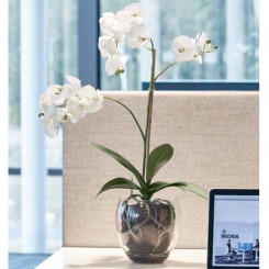 Götessons Orchid Phalaenopsis 650, künstliche Orchideen Pflanze, 160010 
