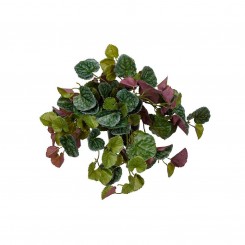 Götessons Senecio ohne Übertopf, künstliche Pflanze, 160160 