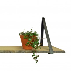 HANDLES and more Regalstützen Regalbänder Regalhalter Leder 2er Set Vintage grau 