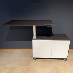 Homeoffice Wagen Steh-Sitz Arbeitsplatz 065-1000 Ausstellungsstück 