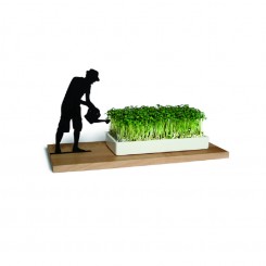 Side by Side Kresseschale smart n green Gärtner 40053G 