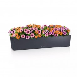 Lechuza Balkonkasten Balconera Color 100 schiefergrau 15918 