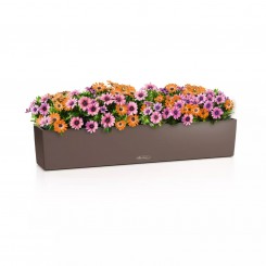 Lechuza Balkonkasten Balconera Color 100 muskat 15916 