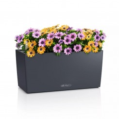 Lechuza Balkonkasten Balconera Color 40 schiefergrau 15478 