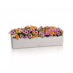 Lechuza Balkonkasten Balconera Cottage 100 lichtgrau 15913 