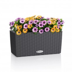 Lechuza Balkonkasten Balconera Cottage 40 granit 15471 