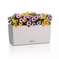 Lechuza Balkonkasten Balconera Cottage 40 lichtgrau 15473 