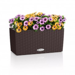 Lechuza Balkonkasten Balconera Cottage 40 mokka 15472 