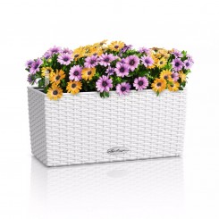 Lechuza Balkonkasten Balconera Cottage 40 weiß 15470 