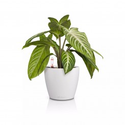 Lechuza Classico Color 14 weiß 16696 