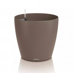 Lechuza Classico Color 50, muskat 19462 