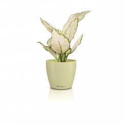 Lechuza Übertopf Classico Color 12 DECO linde 16673 