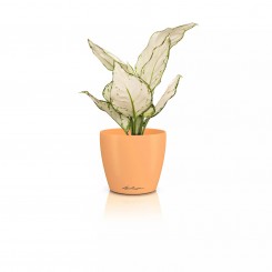 Lechuza Übertopf Classico Color 12 DECO papaya 16675 