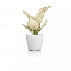 Lechuza Übertopf Classico Color 12 DECO weiß 16671 