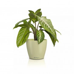 Lechuza Übertopf Classico Color 14 DECO linde 16683 