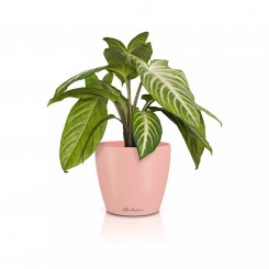 Lechuza Übertopf Classico Color 14 DECO magnolie 16684 