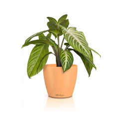 Lechuza Übertopf Classico Color 14 DECO papaya 16685 