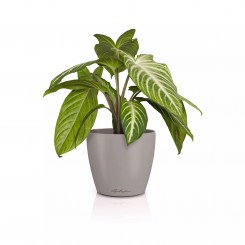 Lechuza Übertopf Classico Color 14 DECO sandbraun 16682 