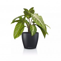 Lechuza Übertopf Classico Color 14 DECO schiefergrau 16680 