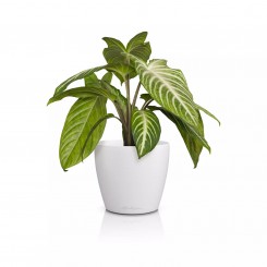 Lechuza Übertopf Classico Color 14 DECO weiß 16681 