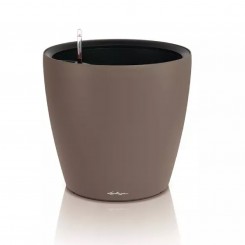 Lechuza Classico Color LS 50, muskat 19472 