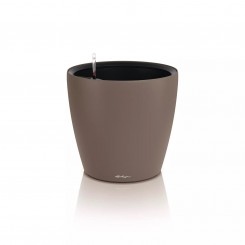 Lechuza Classico Color LS 50, muskat 19472 