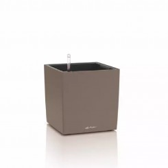 Lechuza CUBE Color 30, muskat 19442 