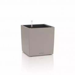 Lechuza CUBE Color 30, sandbraun 19443 