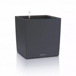 Lechuza CUBE Color 40, schiefergrau, 19452 