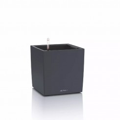 Lechuza CUBE Color 30, schiefergrau 19441 