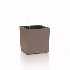 Lechuza CUBE Color 30, muskat 19442 