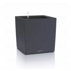 Lechuza CUBE Color 40, schiefergrau, 19452 