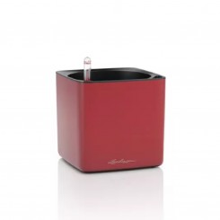 Lechuza Cube Premium 16 scarlet rot matt 13537 