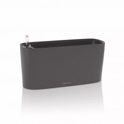 Lechuza DELTA Premium 20 Pflanzgefäß basaltgrau matt 15576 