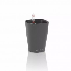 Lechuza Mini-Deltini Premium, Komplettset basaltgrau matt 14945 