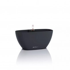 Lechuza NAVIO Color 10, schiefergrau 19421 