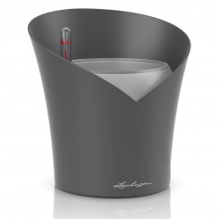 Lechuza Pflanztopf ORCHIDEA schiefergrau matt 13961 