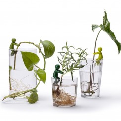 PelegDesign Leafriend Anzuchthelfer 3-er Set 17514 