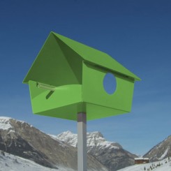 Vogelhaus XXL Piep Show grün 529d 