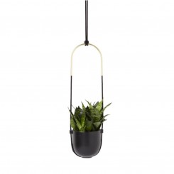 Umbra Blumenampel BOLO schwarz 1009571-040 