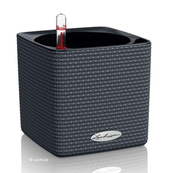 Lechuza  Cube Color 14 mit Stick-System schiefergrau 13384 